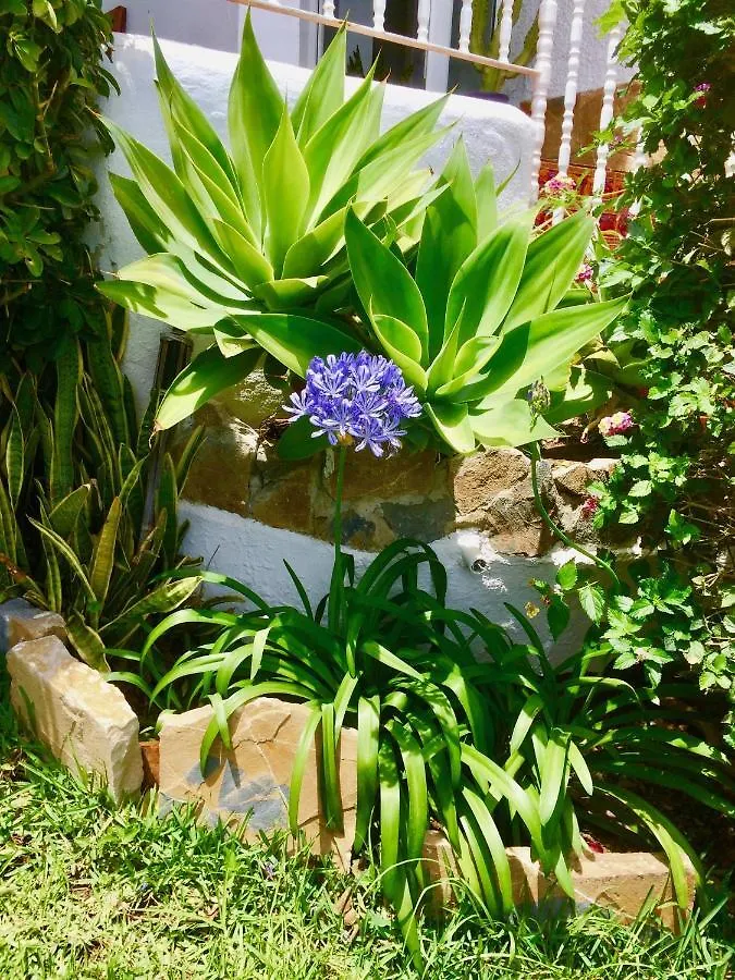 Villa Veracruz Benalmadena